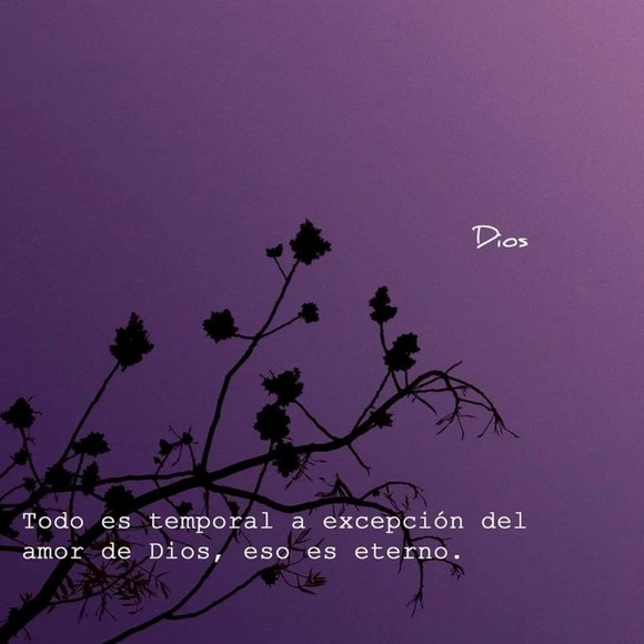 dperez8353